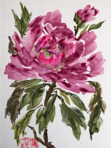 8x10 End of Summer ( Peony), sold 