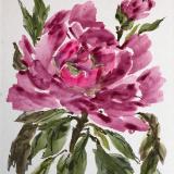 8x10 End of Summer ( Peony), (private collection)