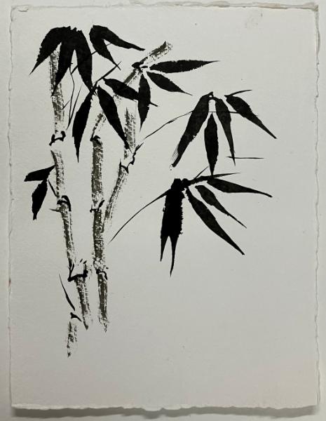 Bamboo 2025