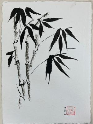 Bamboo 2025 Bamboo 2025