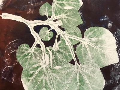 leaf Series: one family (monoprint)