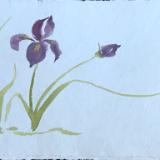 Blue Irises20x28 (available)