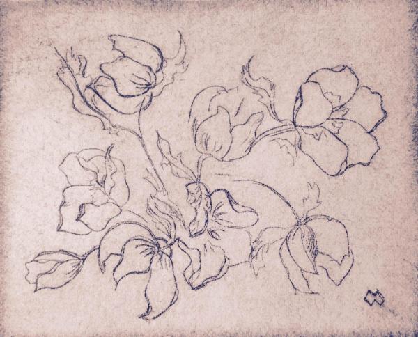 Garden Series: *Hellebore blossoms dry-point 4"x5"