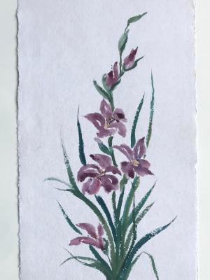 28x20" Purple Glads 28x20" Purple Glads