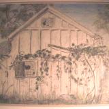 High St. Grape Vine (sold) High St. Grape Vine (sold)