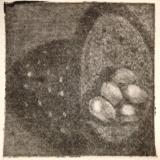 *Eggs, Colander, Shadow Mezzotint pre-rocked plate