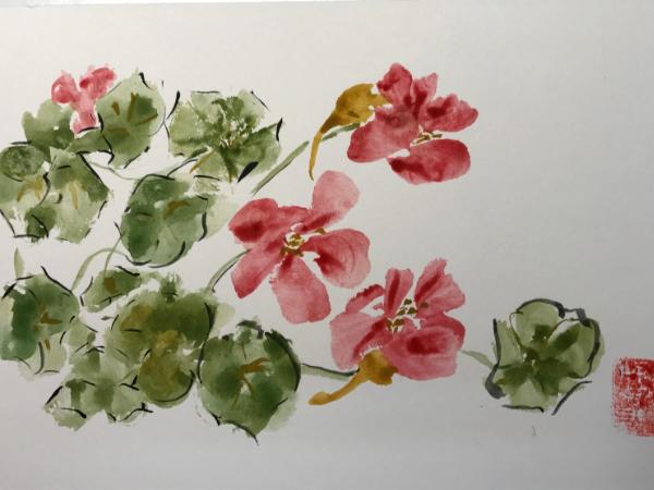 12x16" Nasturtium  (available)