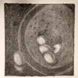 *Eggs in Colander 1 Mezzotint pre-rocked plate