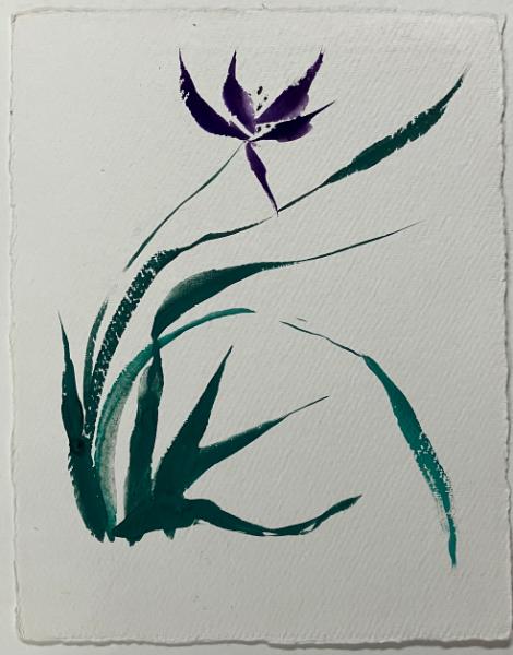 Mt Orchid in breeze (purple nujabi paper)