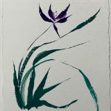 Mt Orchid in breeze (purple nujabi paper)