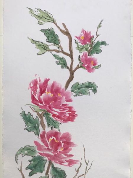 Peonies (private collection)