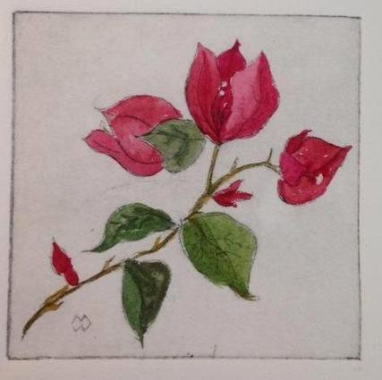 Nature's Valentine (Bougainvillea Twig)  drypoint ((sold)edition still available)