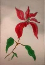 *Winter Series: Poinsettia   drypoint