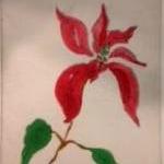 *Winter Series: Poinsettia   drypoint