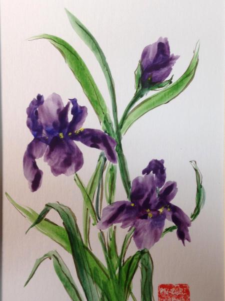 16x12" Iris Dance (available)