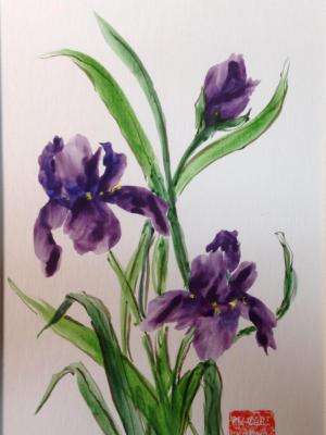 16x12" Spring Dance (Irises) 16x12" Spring Dance (Irises)