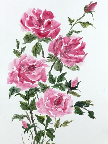 36 x24 Summer Roses (available)