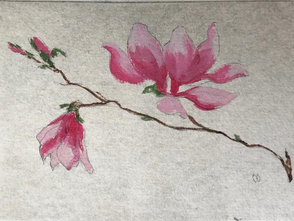  Pink magnolias  drypoint SOLD (edition still available)