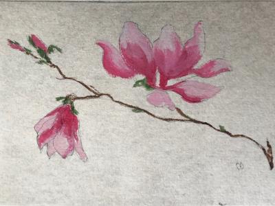  Pink magnolias  drypoint SOLD (edition still available)