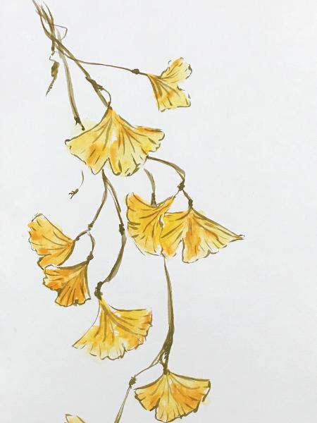 Gingko (Asian Brush Painting) 