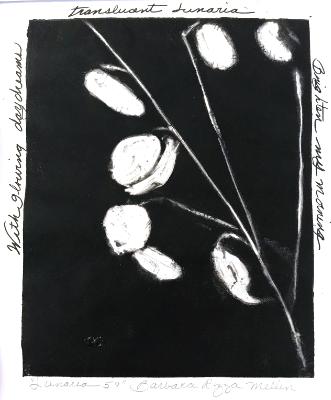 Lunaria 59: Daydreams