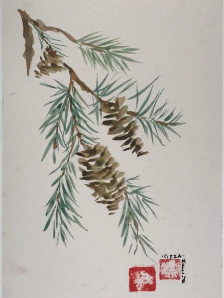 Spruce Branch (sold) 16x20"