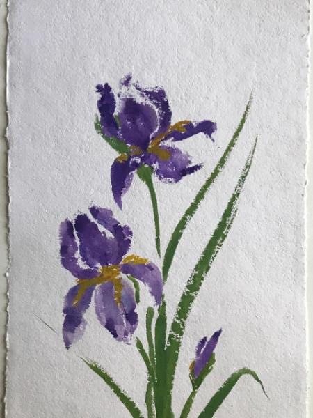 28x20"  Garden Irises (available)