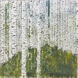 Birch forest (back to nature)