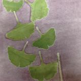 Leaf Series: Natural leader/Gingko monotype collagraph 