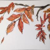 12x16" Autumn Leaves/Autumn (available)