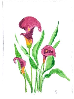 Garden Series: Calla Lily  drypoint ((sold)edition still available)