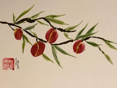 peaches 12x16, available through Artfolios peaches 12x16, available through Artfolios