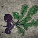 Garden Series: Fresh beets  drypoint