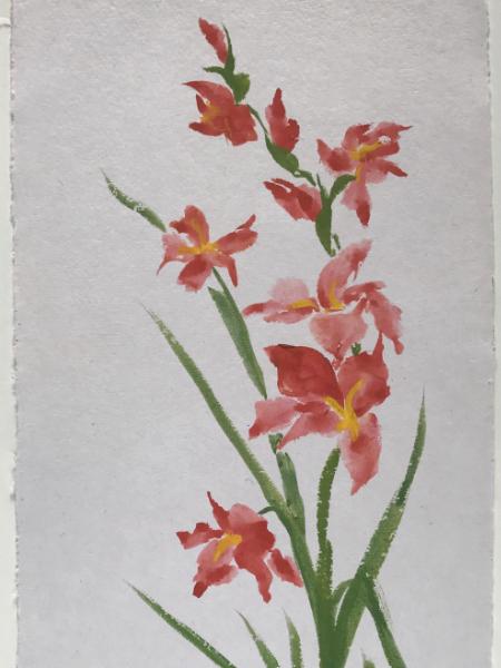 28x20" Gladiolus, available only through Artfolios.shop