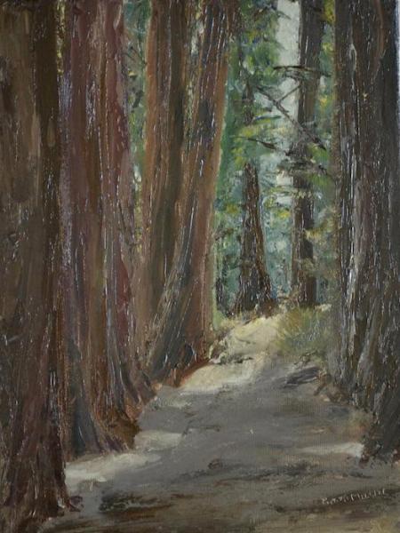 *Redwood Path, Strout Grove 12 x9