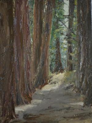 *Redwood Path, Strout Grove 12 x9 (available)