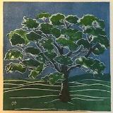 Tree/summer white line lino-cut