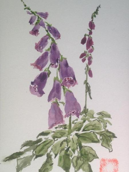 16x12" Fox Glove (private collection)