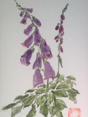 16x12" Fox Glove (Sold) 16x12" Fox Glove (Sold)