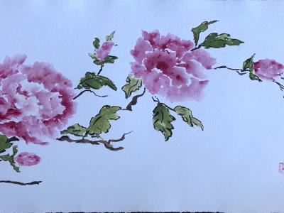Peonies Blossoms (art" 15x30)  (unframed)