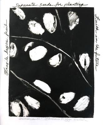 Lunaria 51: namesake