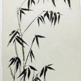 Bamboo cluster  sumi ink on Nujabi paper