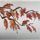 20x28" Oak Leaves