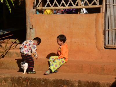 Hill Tribe Boys (with cat), Thailand Hill Tribe Boys (with cat), Thailand