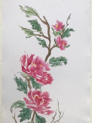 36x24"Peonies, (sold/NFS) 36x24"Peonies, (sold/NFS)