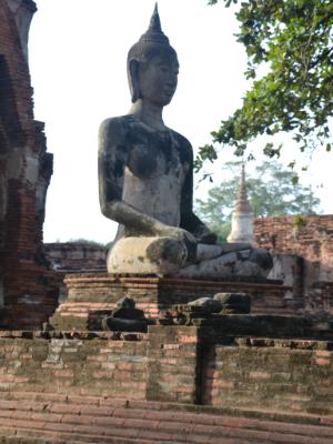 Ayutthaya Buddha Ayutthaya Buddha