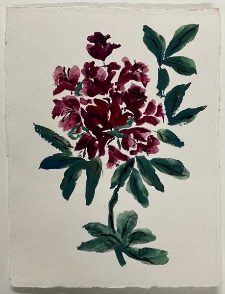 Rhododendron  brush paint