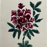 Rhododendron  brush paint