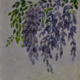 Wisteria 14"x11"