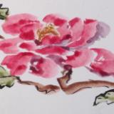 Asian Brush Painting (bamboo brush, Chinese watercolor on paper)